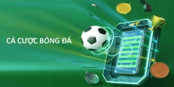 Bongdainfo – Cẩm nang soi kèo chuẩn, nơi săn ty le keo “chất như nước cất” cho cược thủ bóng đá