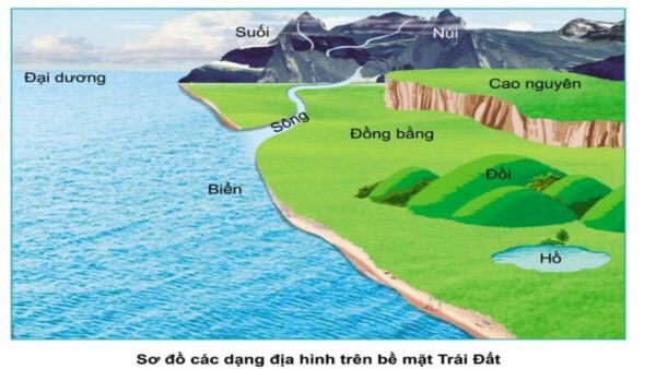 Đồng bằng là gì? Khám phá hệ sinh thái, vai trò và đặc điểm địa lý