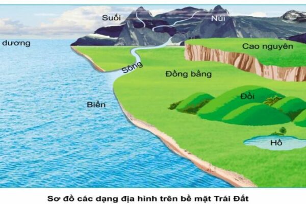 Đồng bằng là gì? Khám phá hệ sinh thái, vai trò và đặc điểm địa lý