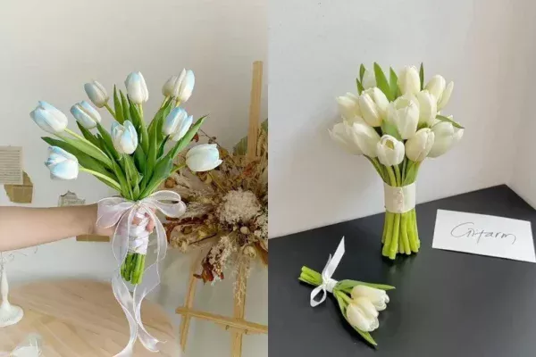 Hoa tulip trắng có ý nghĩa gì? Khám phá thông điệp ẩn sau loài hoa